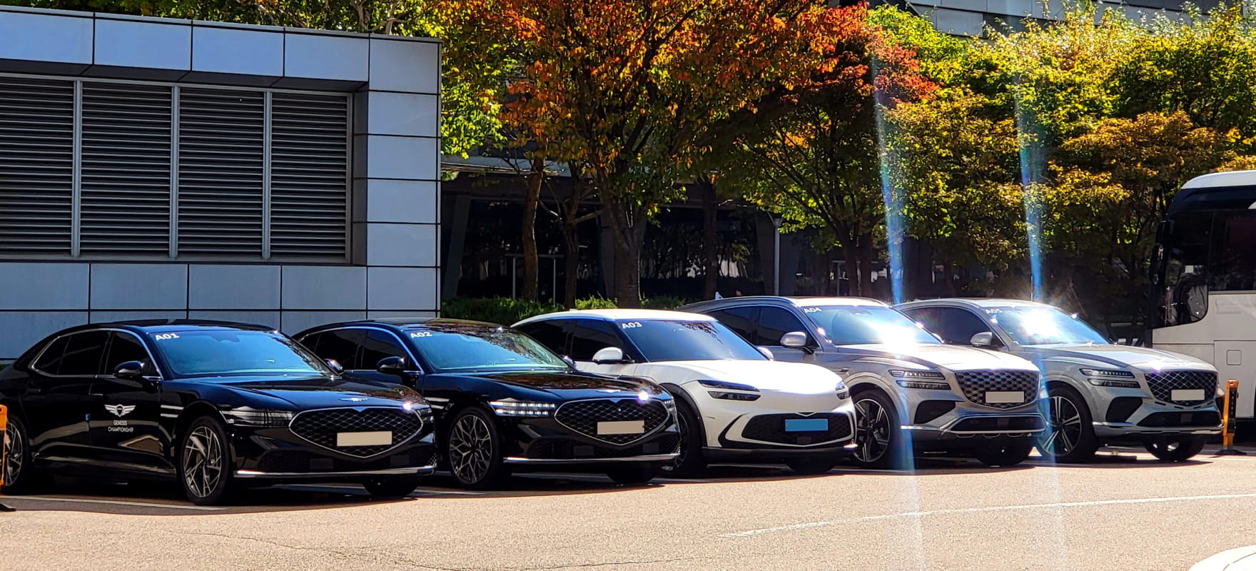A row of official protocol vehicles including black Genesis G90, white GV60, and silver GV80 sedans and SUVs for the championship.